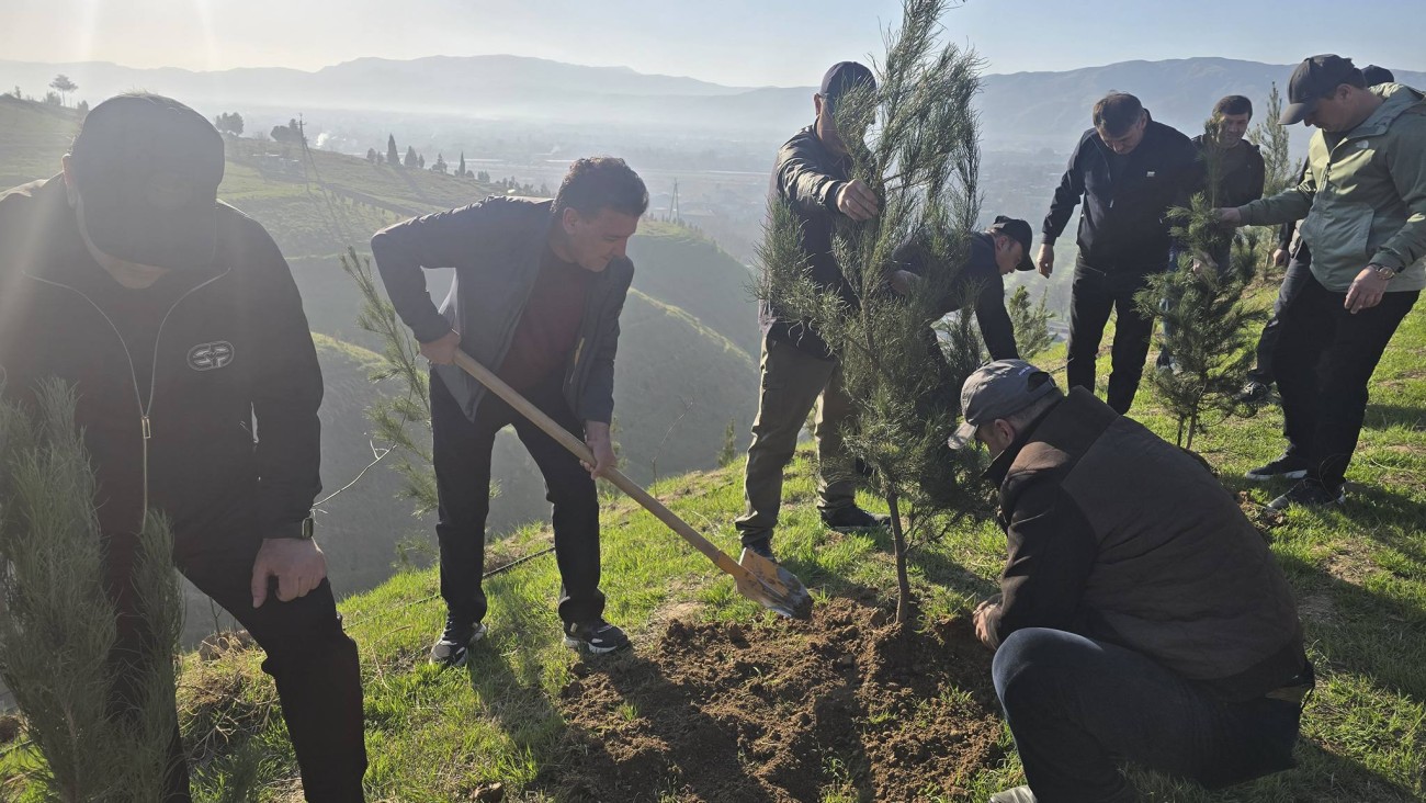 Гузаронидани корҳои ободонӣ ва кабудизоркунӣ дар ноҳияҳои тобеи ҷумҳурӣ