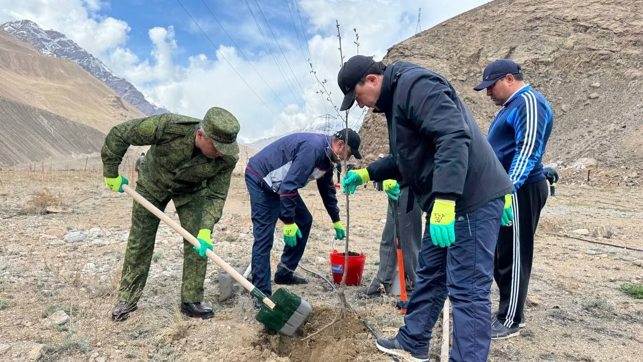 Баргузории маъракаи ниҳолшинонӣ дар ноҳияи Шуғнони Вилояти Мухтори Кӯҳистони Бадахшон